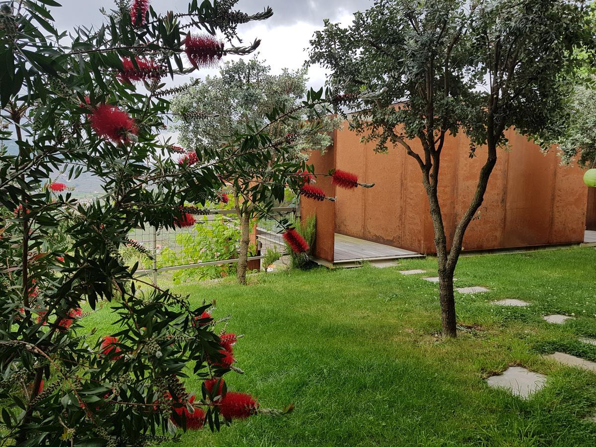 Vakantieboerderij Marim Country Mesão Frio